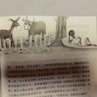 5.1—徐茂哲—«驴和牛»
