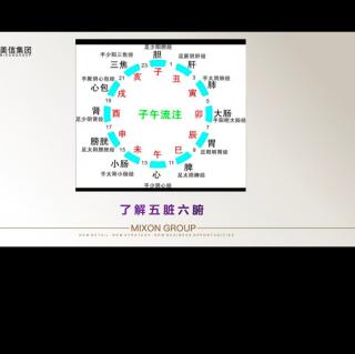 健康大讲堂邹老师 上