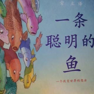 一条聪明的鱼🐟