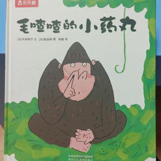 毛喳喳的小药丸