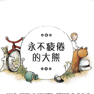 永不疲倦的大熊