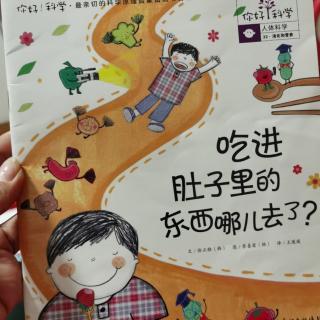 吃进肚子里的东西哪儿去了？