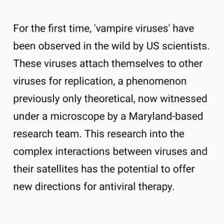 20231116感染后会变身“德古拉”？美国首次发现“吸血鬼病毒”