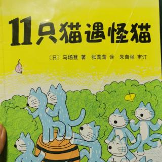 11只猫遇怪猫