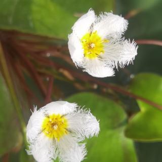 《细讲使命与发心》第四节