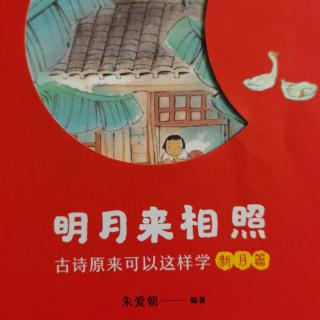 《明月来相照，古诗原来可以这样学》——《画、悯农》