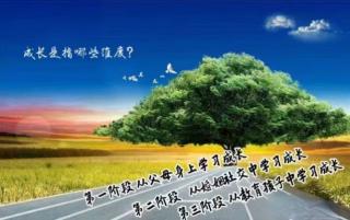 道德经21-40章