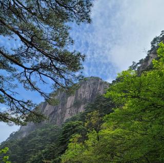 立夏  作者:道路