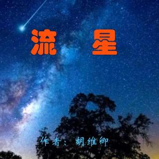 《流星》作者：胡维卿 诵读：大连伙计