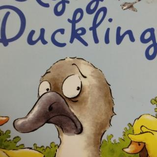 the ugly duckling