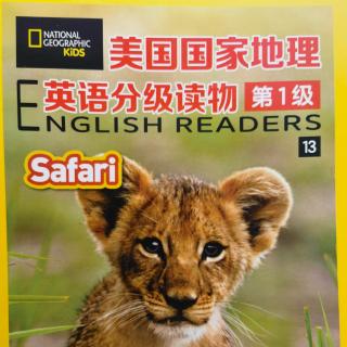 Safari