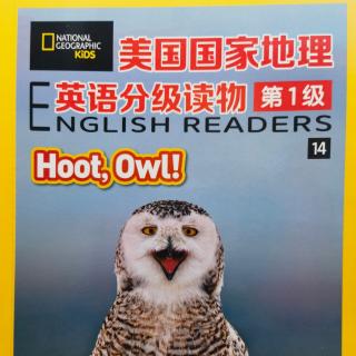 Hoot Owl!