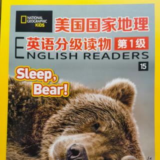 Sleep Bear!