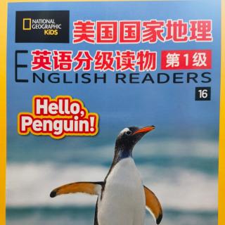 Hello Penguin!