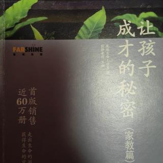 《让孩子成才的秘密》第三章1如何超越成绩，获得成长