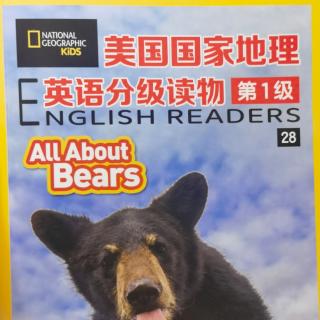 All About Bears