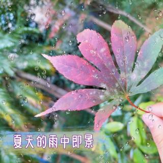 《夏雨即景》