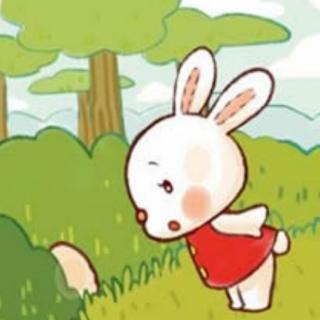 小兔子🐰学本领