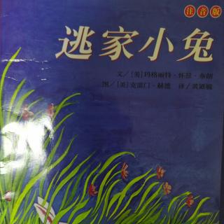 绘本《逃家小兔》