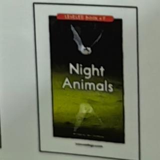 Night Animals