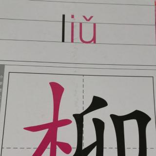 字宝宝