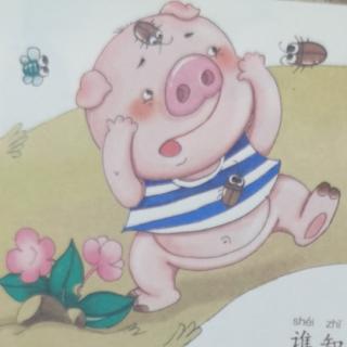小猪洗澡记——绘本故事