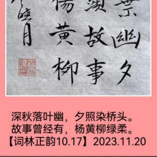 五绝20231120