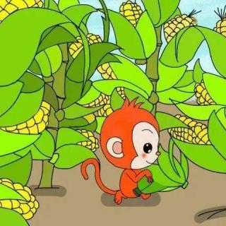 故事《小猴子掰玉米》王茗玉表演