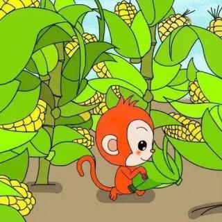 故事《小猴子掰玉米》王思柔表演