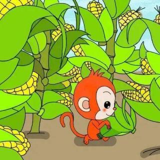 故事《小猴子掰玉米》何奕霖表演