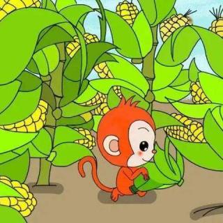 故事《小猴子掰玉米》谢朋表演
