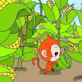 故事《小猴子掰玉米》苏宸冉表演