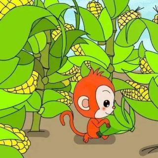 故事《小猴子掰玉米》马彬城表演