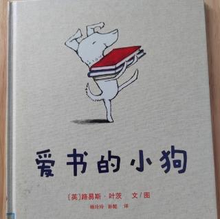 小狗爱书📚