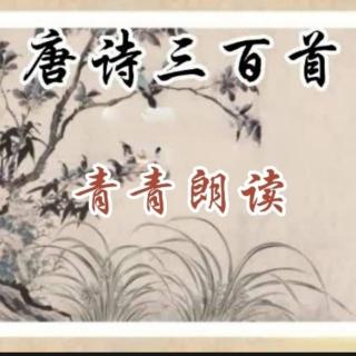 唐诗三百首96/听蜀僧濬弹琴 李白