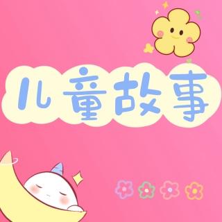 小鲨鱼交朋友