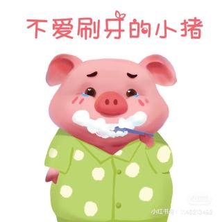 小杨老师睡前故事《胖猪🐷不刷牙🪥》
