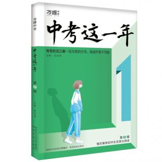 《中考这一年》阅读📖10