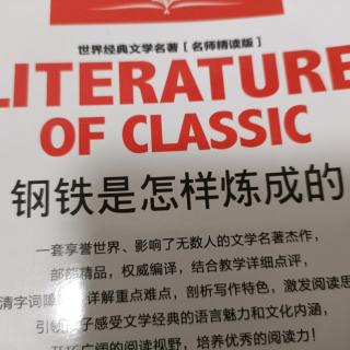 11.29 《钢铁是怎样炼成的》 17一一35