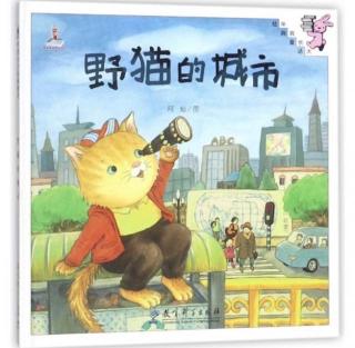 小凡姐姐的午休故事第635期《野猫的城市》