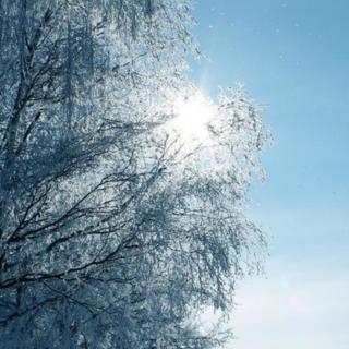 《冬来雪如诗，最是念故人 》紫影寒秋