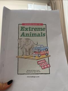Q-Extreme Animals