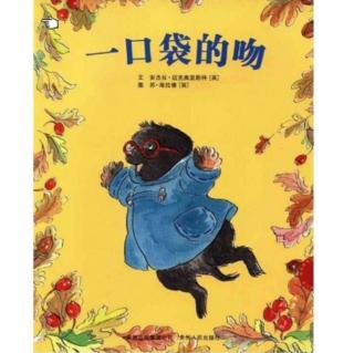 幼专附属幼儿园杜老师《一口袋的吻》