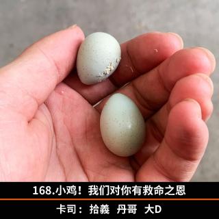 168.小鸡！我们对你有救命之恩