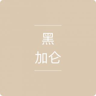 Vol1.黑加仑，从雄狮少年开始聊