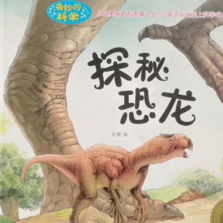 探秘恐龙🦕