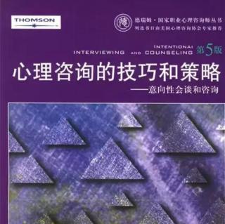 第9章会谈中的聚焦：从多种角度探索故事255-264