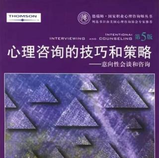 第8章面质技巧第212页—221页（来自FM159644819）