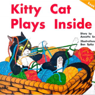 Kitty Cat Plays Inside故事