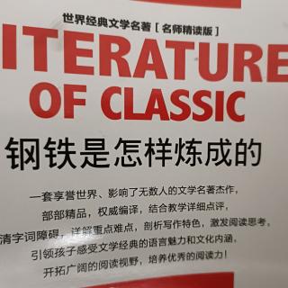 12.7《钢铁是怎样炼成的》156一一171